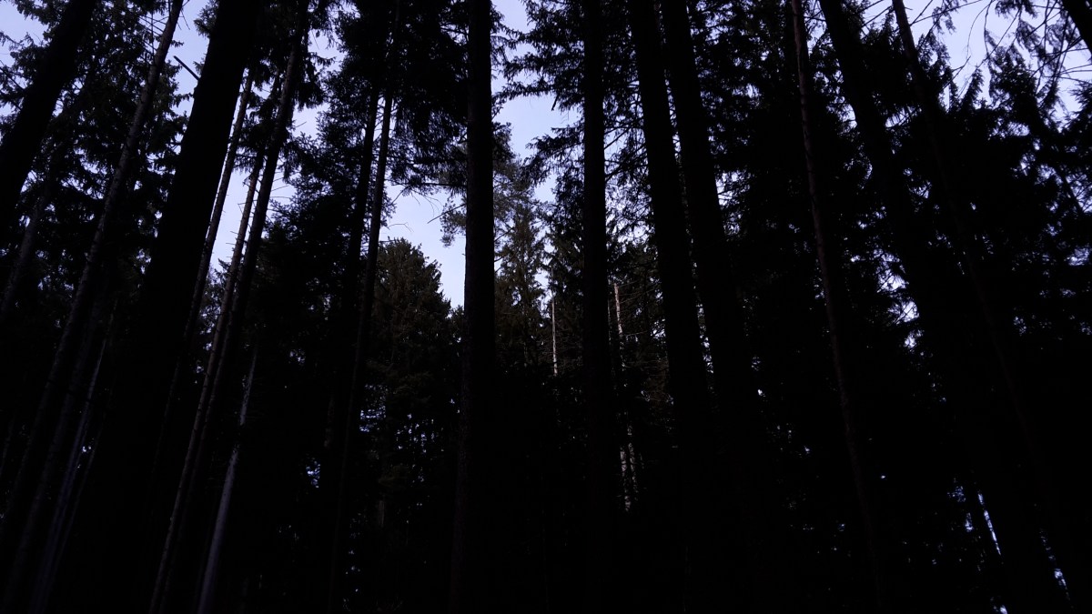 The road to&nbsp;hospital