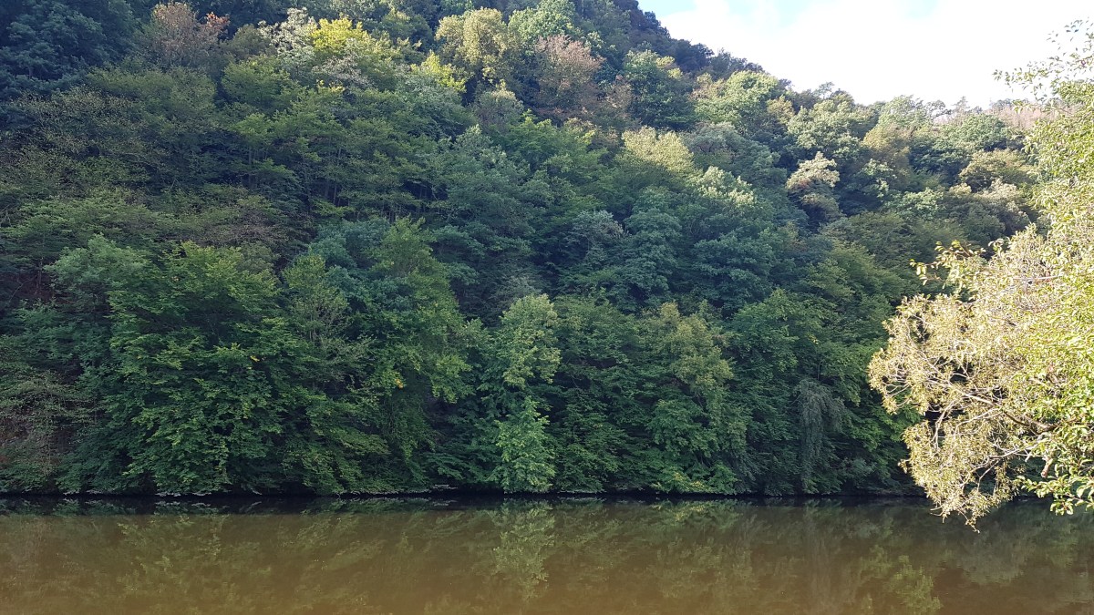 Toxic work environments and&nbsp;burnout.